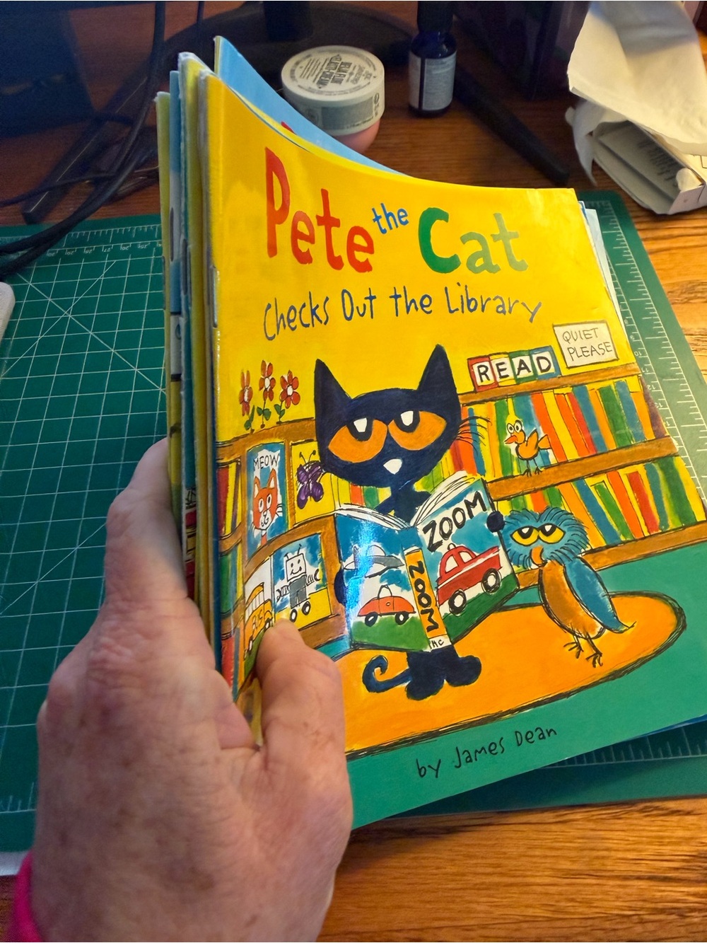 Bundle of Pete the Cat soft cover books (9books)
